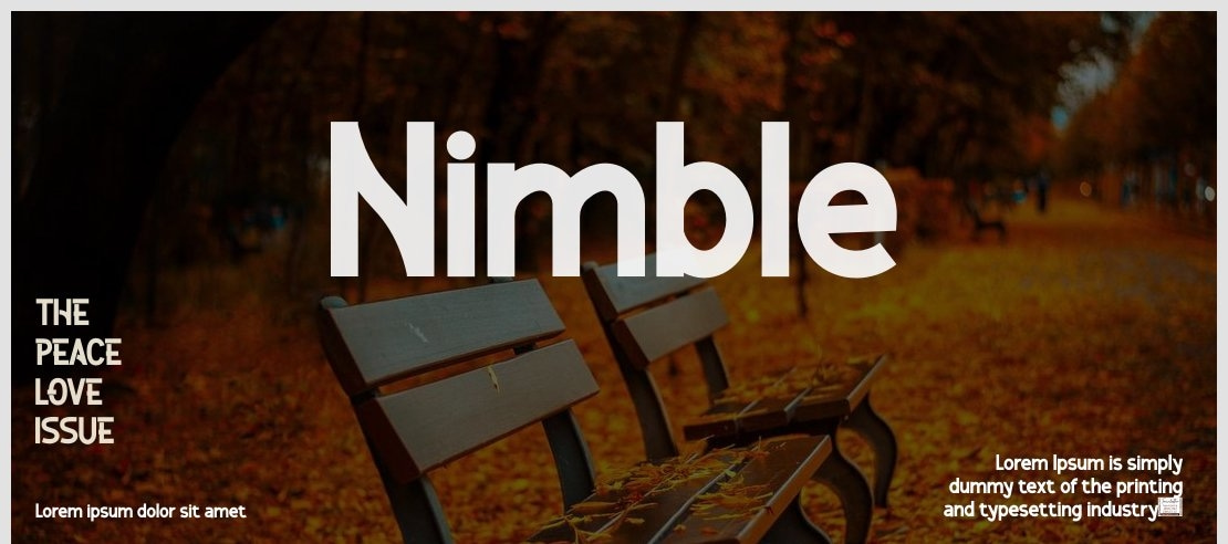 Nimble Font