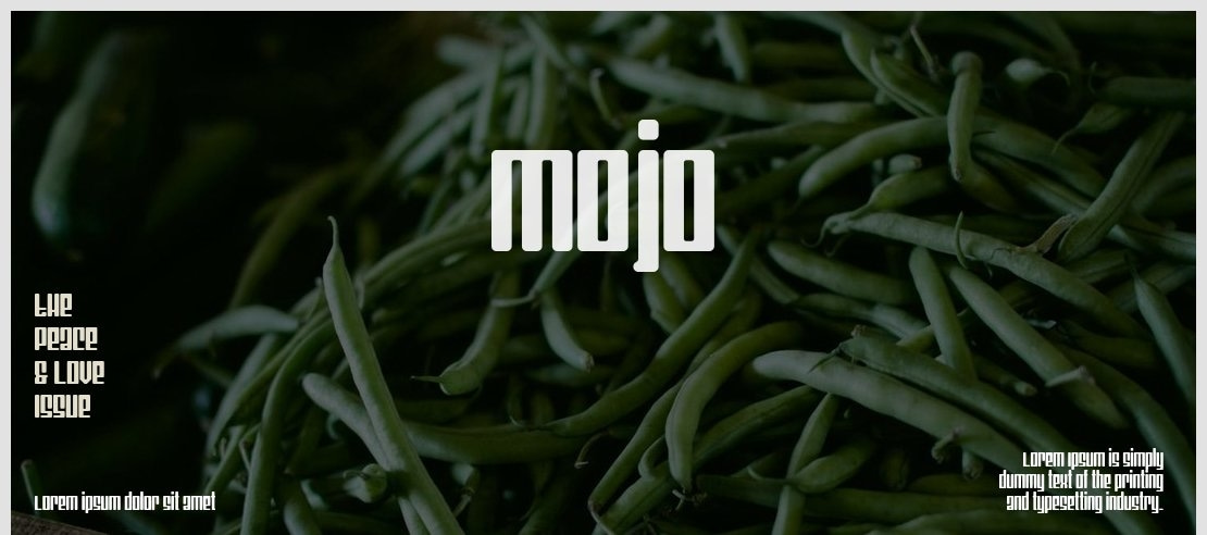 Mojo Font Family