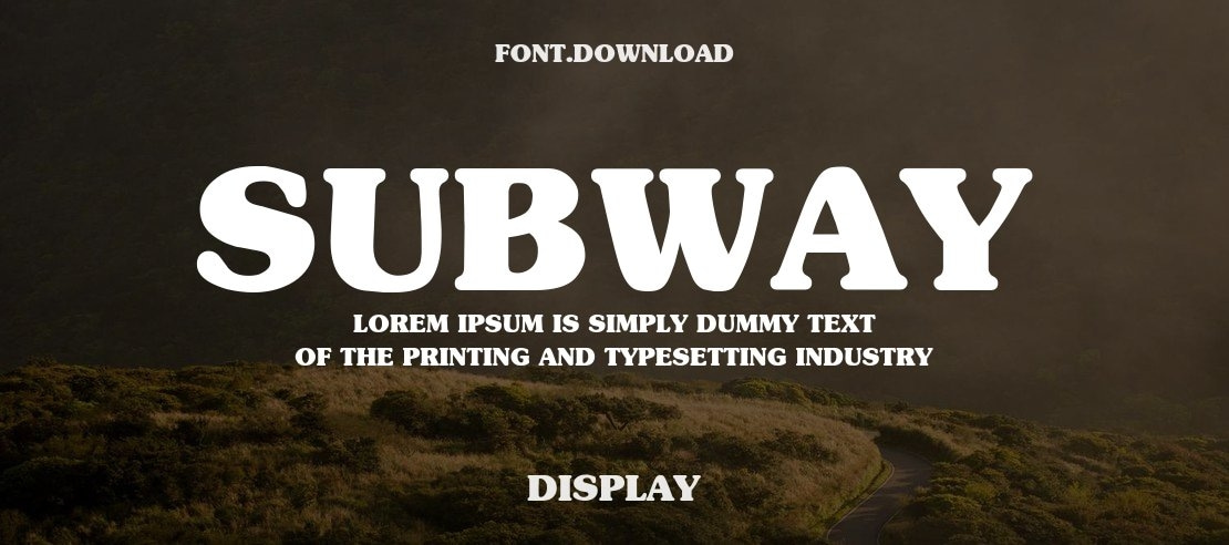 Subway Font Family