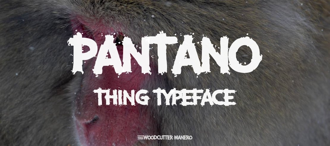 Pantano Thing Font