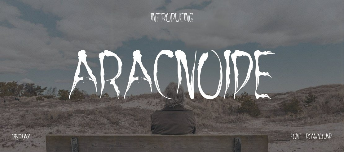 aracnoide Font