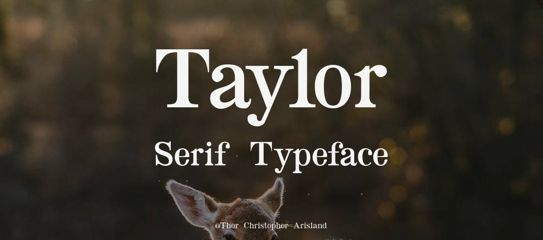 Taylor Serif Font