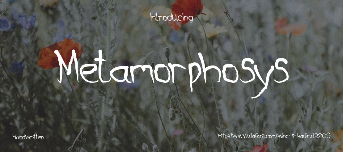 Metamorphosys Font