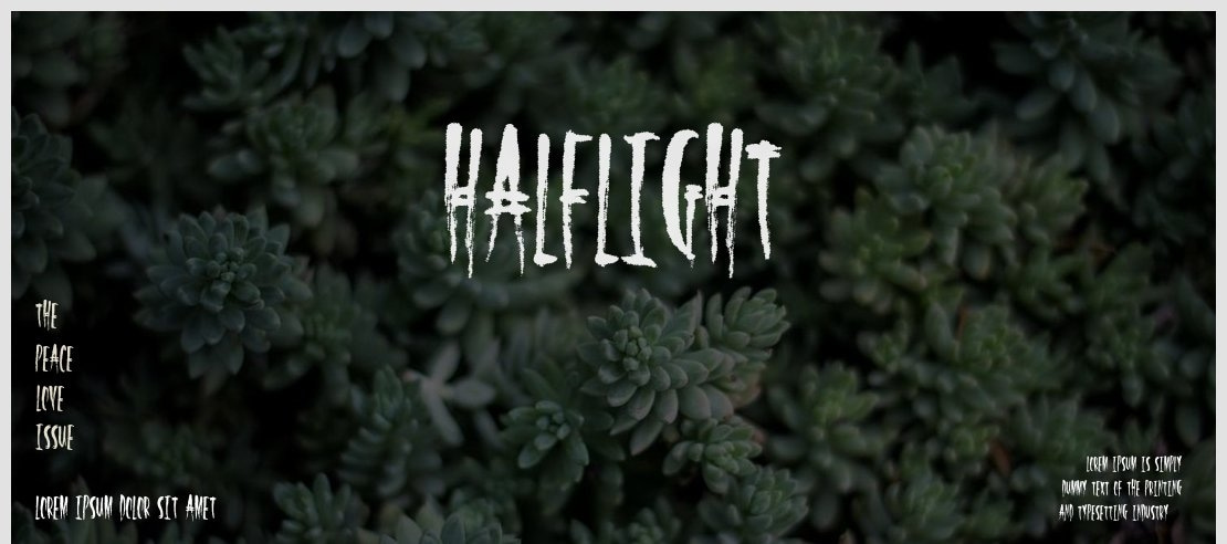 HalfLight Font