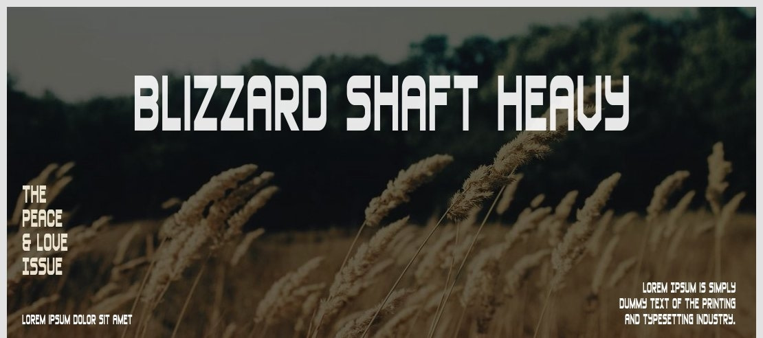 Blizzard Shaft Heavy Font Family