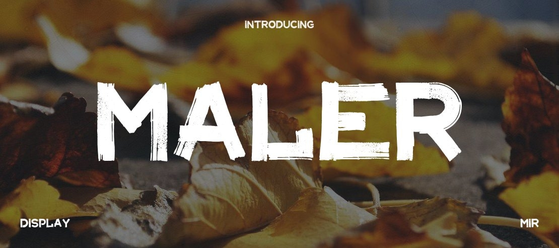 Maler Font