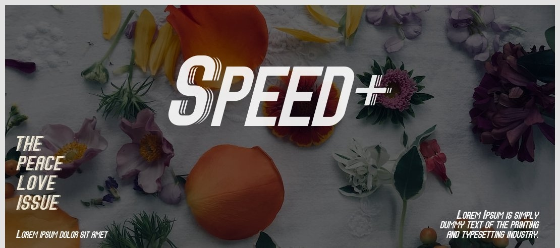 Speed+ Font Family