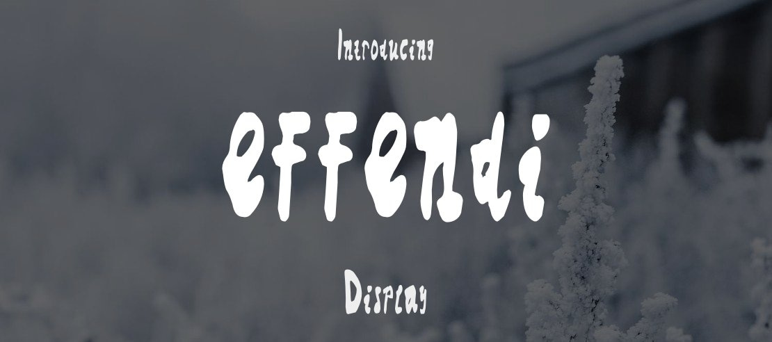 effendi Font