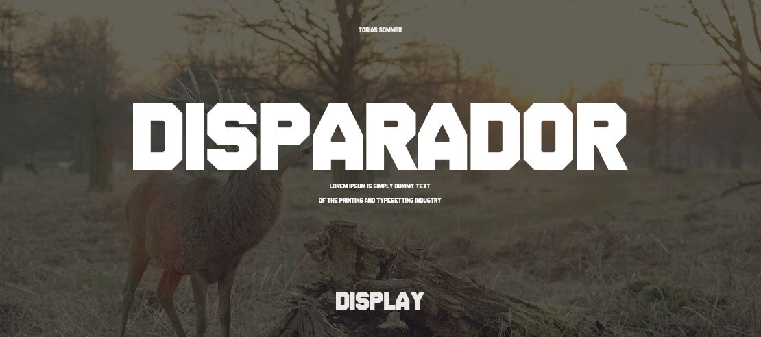 Disparador Font Family