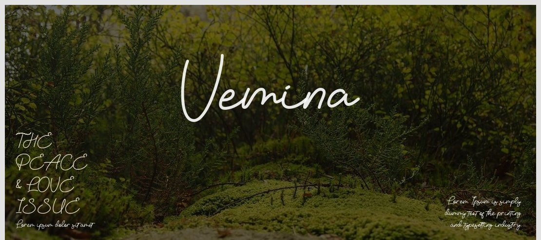 Vemina Font