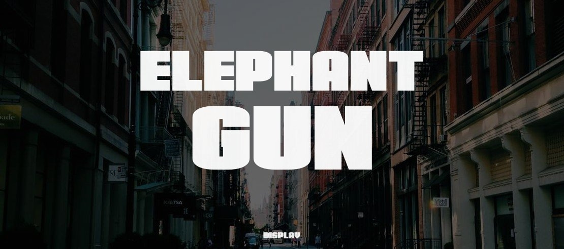 Elephant Gun Font Family