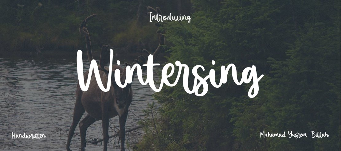 Wintersing Font