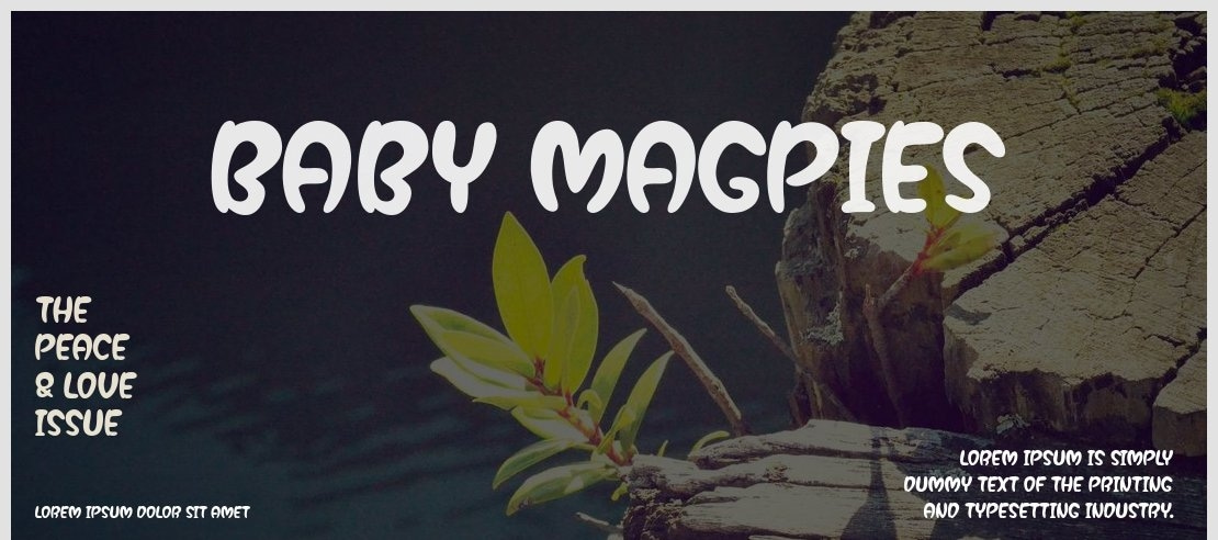 Baby Magpies Font