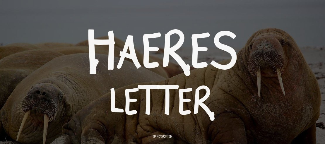 Haeres Letter Font