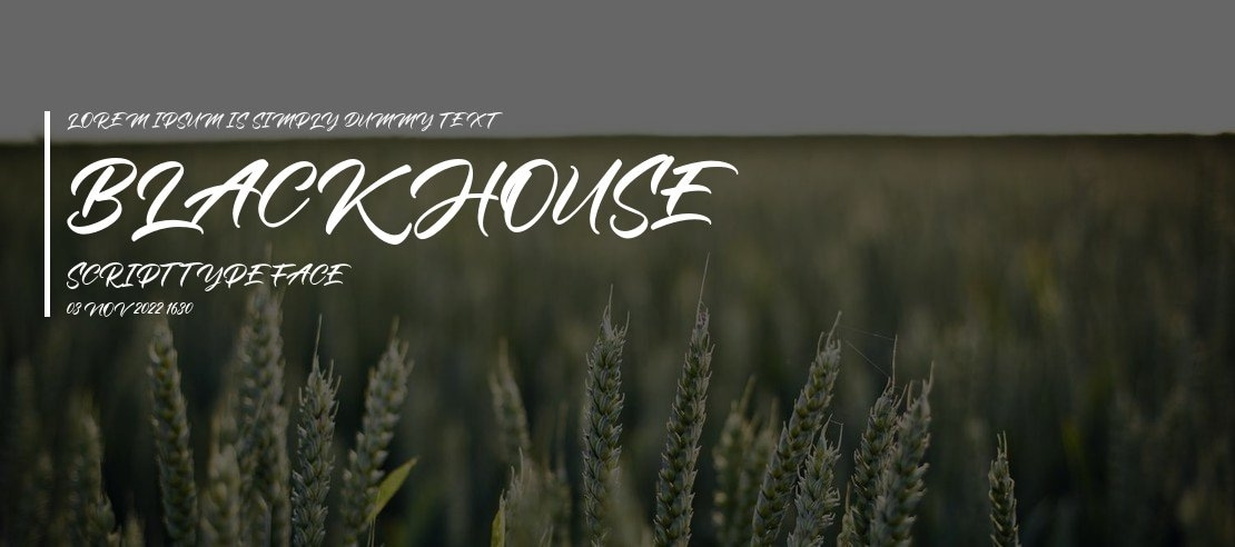 BlackHouse Script Font