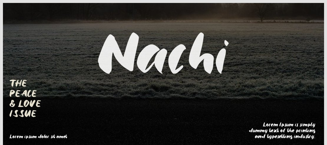 Nachi Font Family