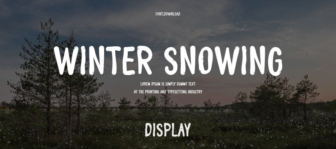 Winter Snowing Font