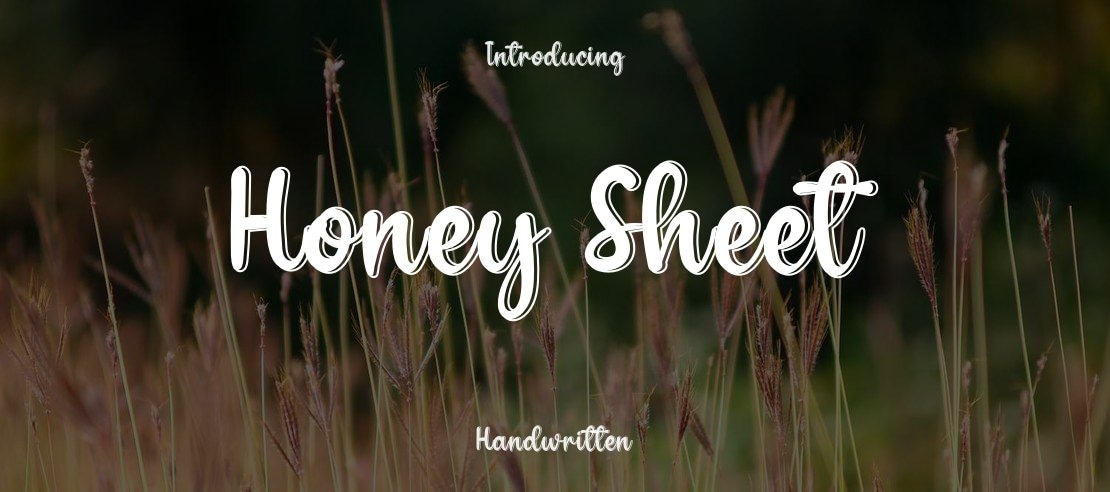Honey Sheet Font