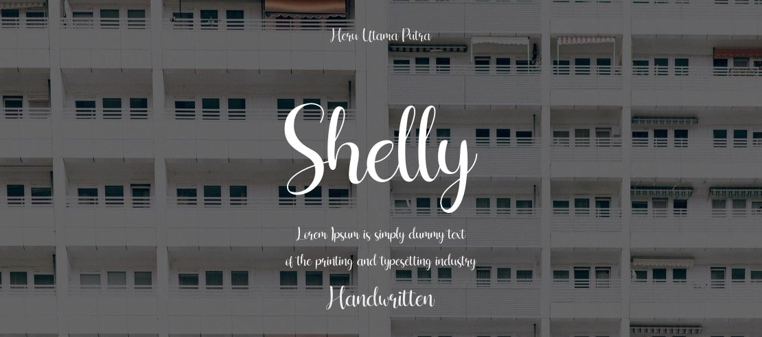 Shelly Font Family
