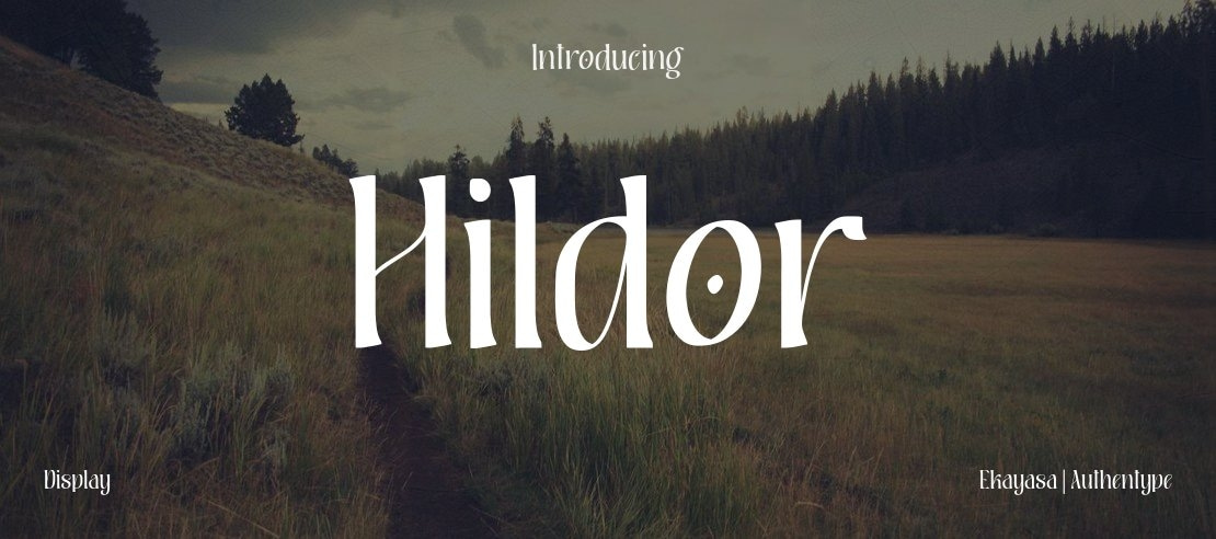 Hildor Font