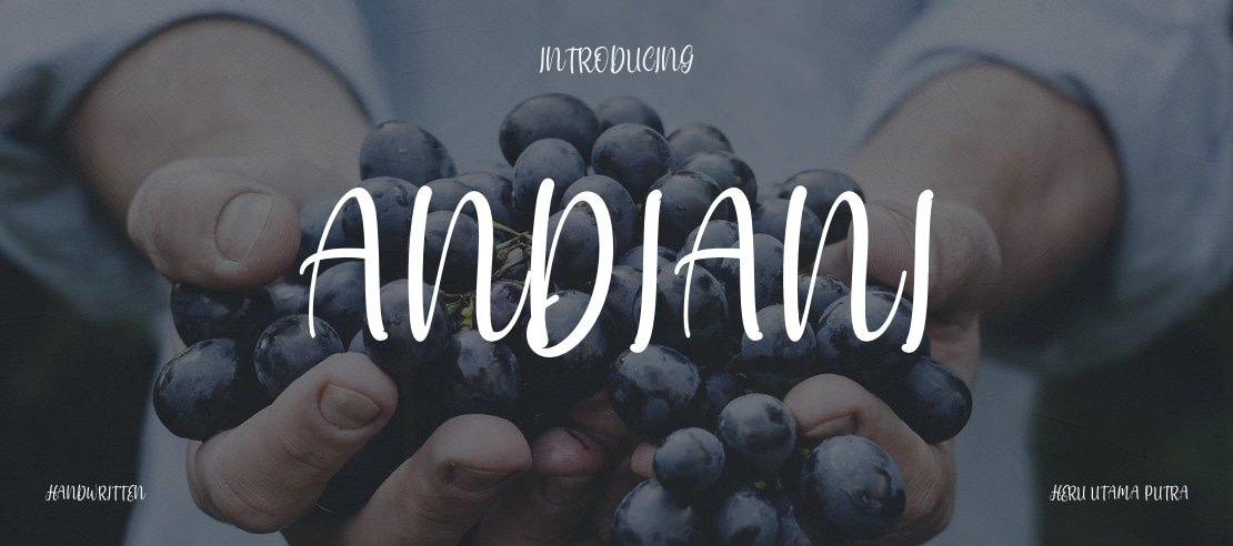 andiani Font