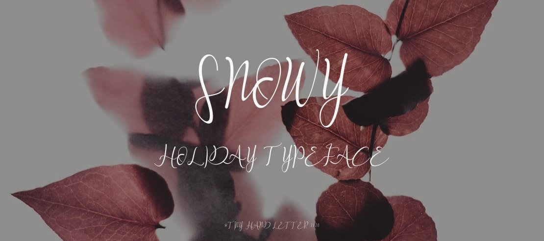 Snowy Holiday Font