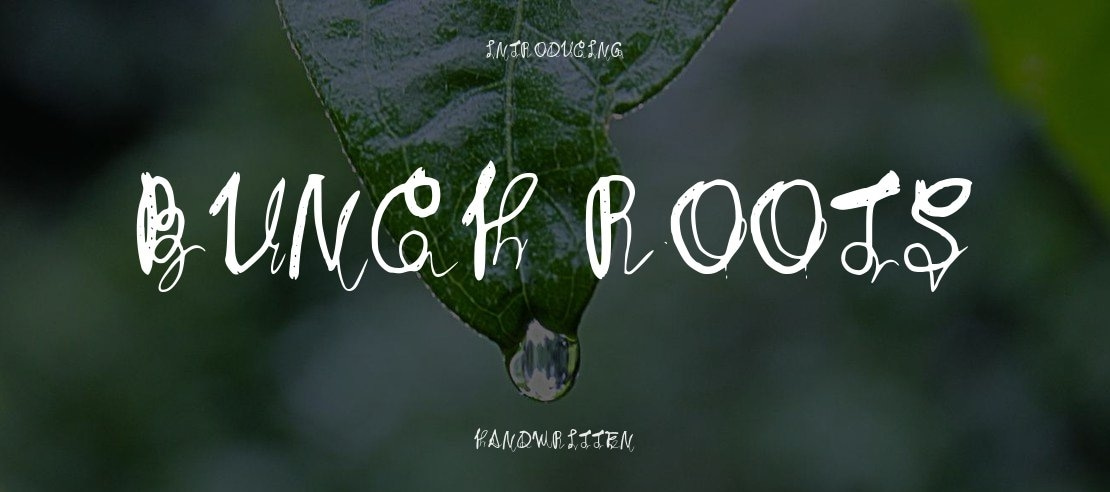 Bunch Roots Font