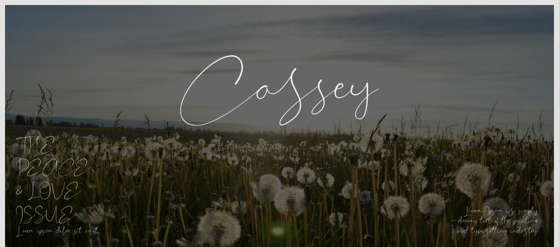 Cassey Font
