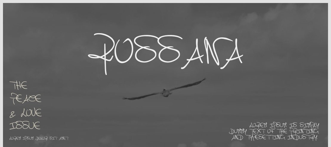 Rossana Font