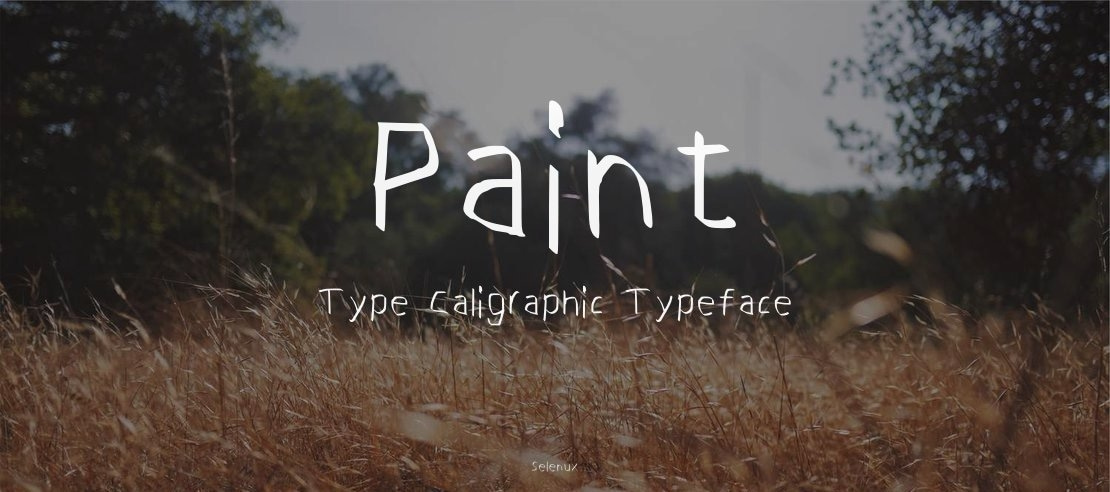 Paint Type Caligraphic Font