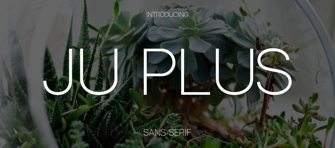 Ju Plus Font Family