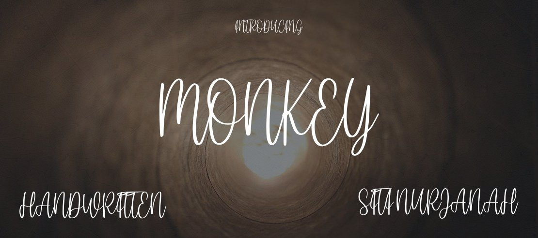 code monkey highlight regular font free download