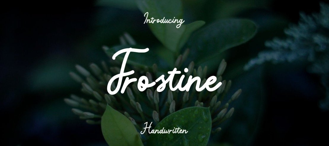 Frostine Font