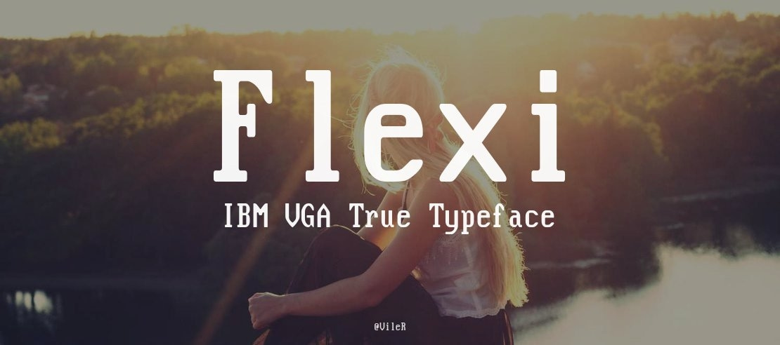 Flexi IBM VGA True Font Family