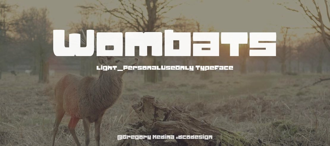 Wombats light_PersonalUseOnly Font Family