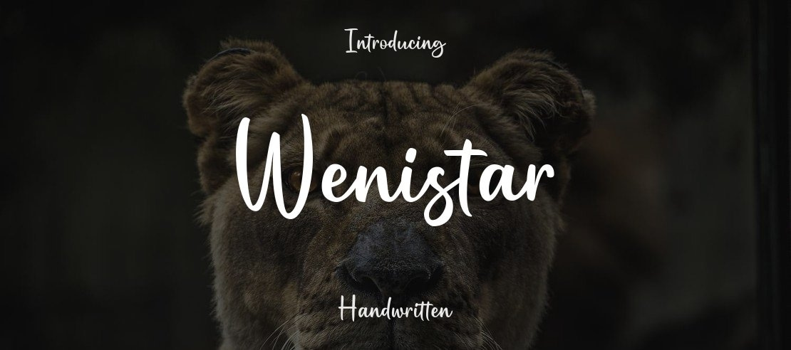 Wenistar Font