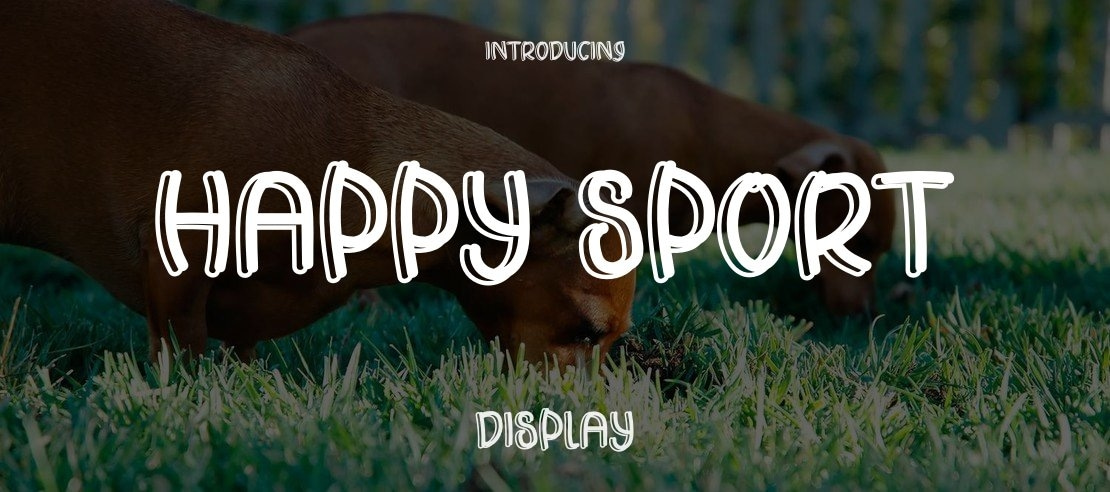 Happy Sport Font