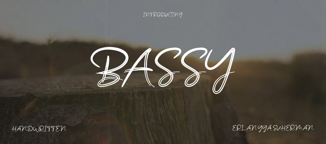 Bassy Font