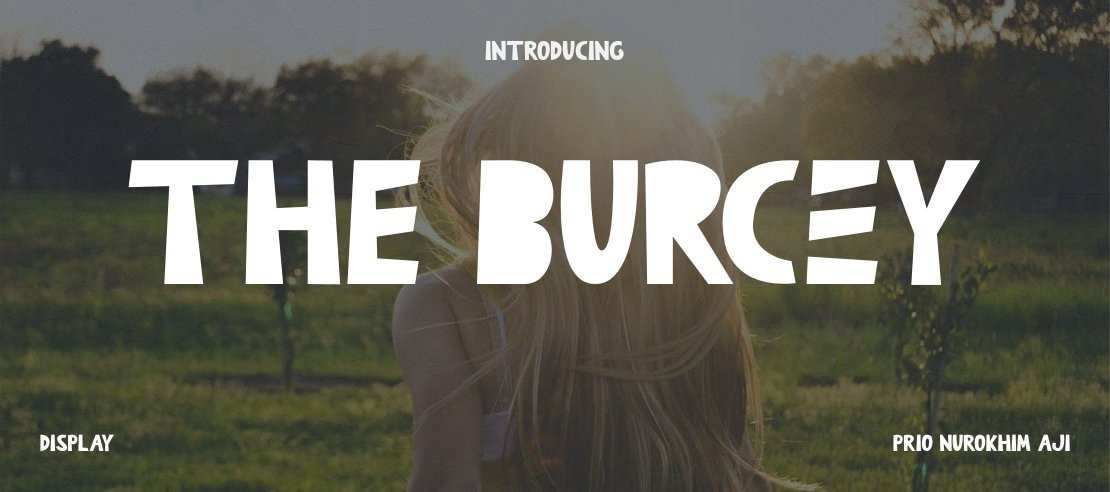 The Burcey Font