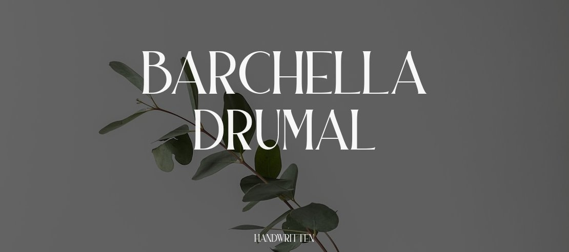 Barchella Drumal Font