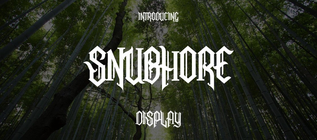 Snubhore Font