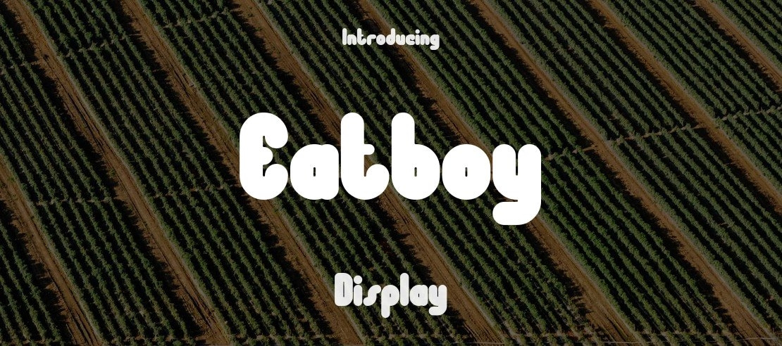 Eatboy Font