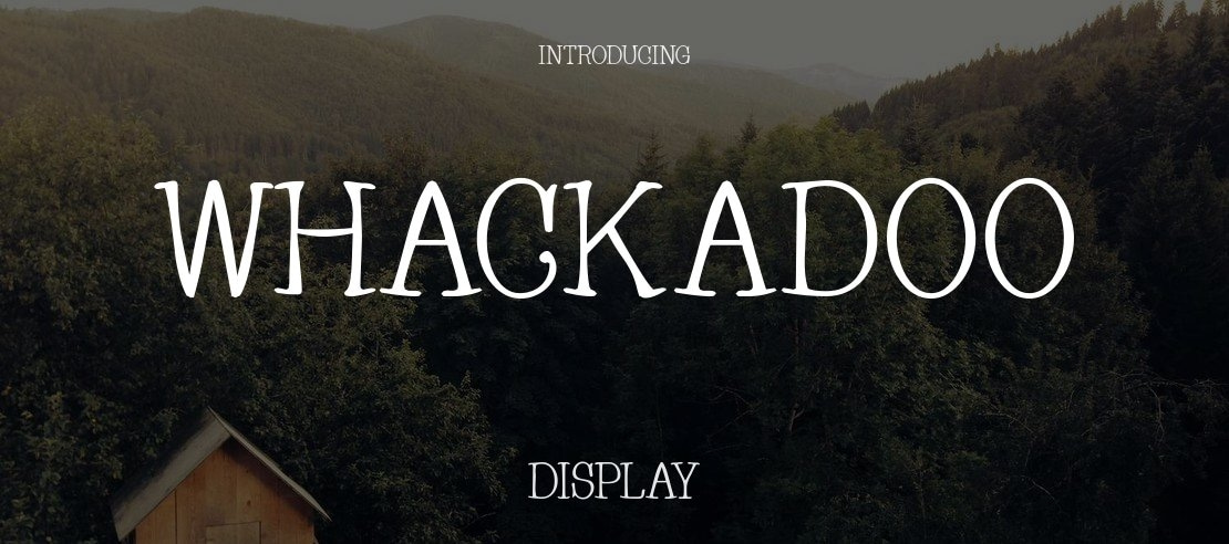 Whackadoo Font Family