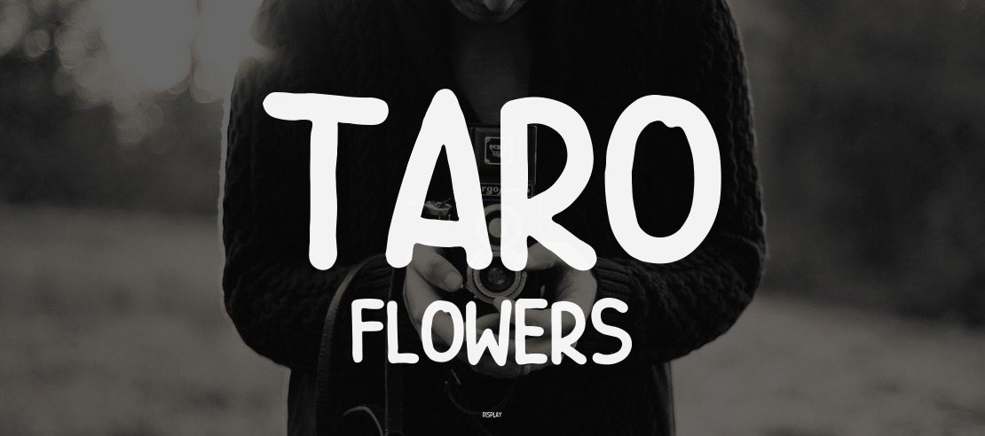 Taro Flowers Font