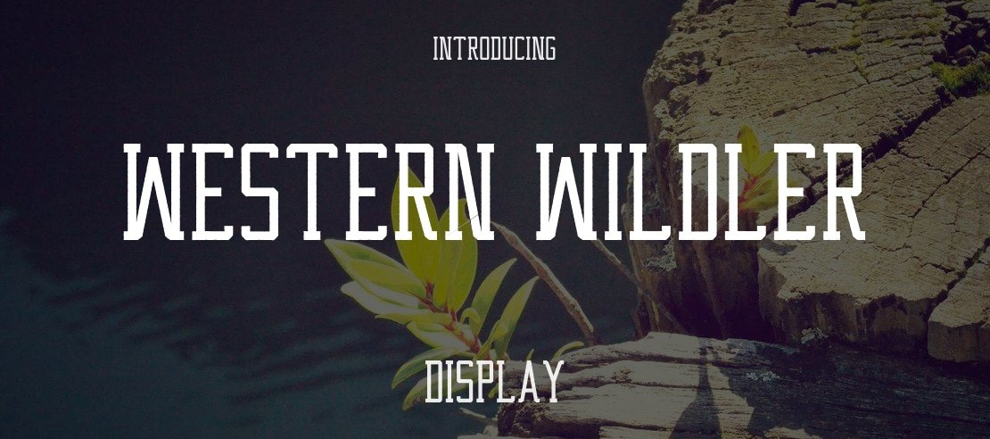 Western Wildler Font