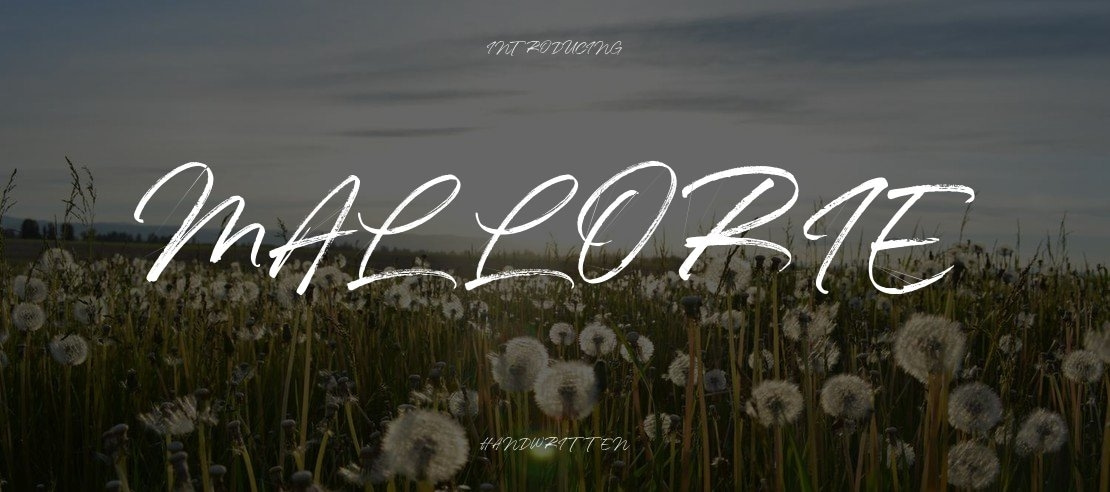 Mallorie Font