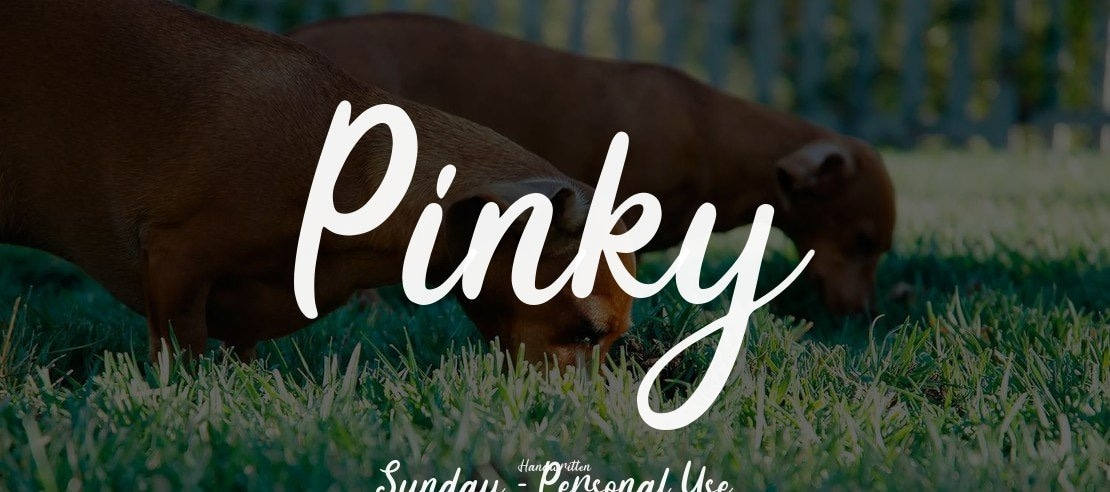 Pinky Sunday - Personal Use Font
