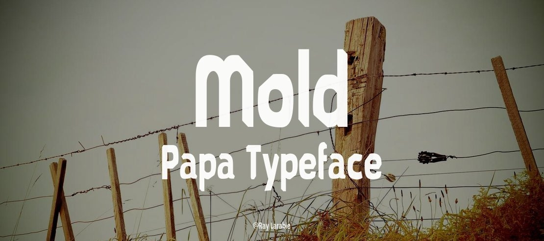 Mold Papa Font