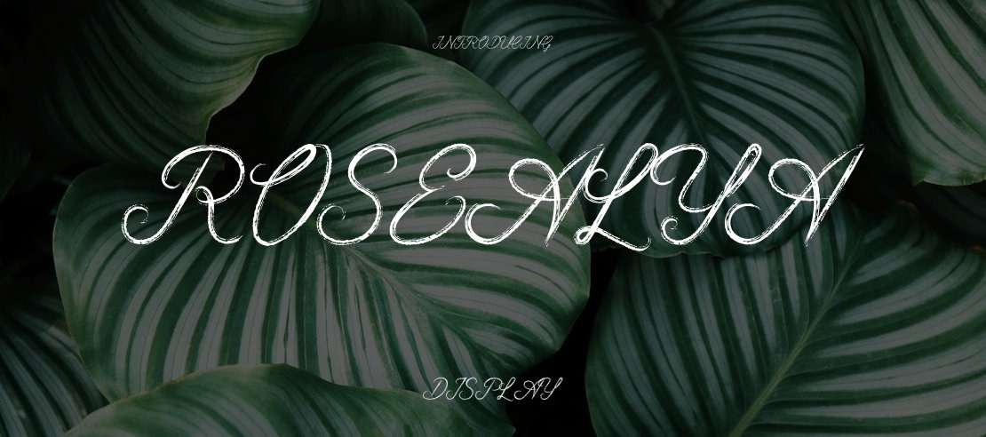 Rosealya Font