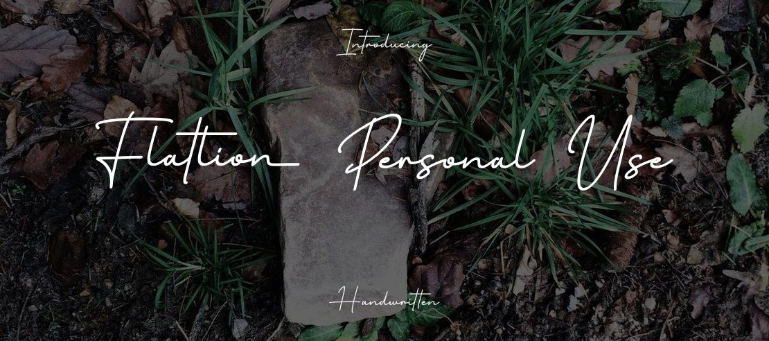 Flatlion Personal Use Font